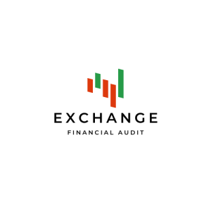 Financial Audit Company Logo