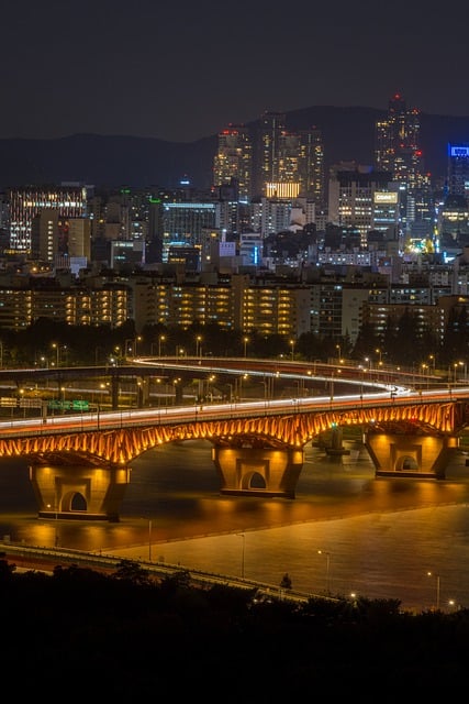 Seoul Night Cityscape